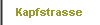  Kapfstrasse 